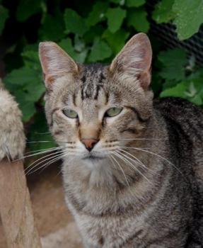 Joschi Bild von Joschi