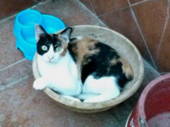 Lola Bild von Lola