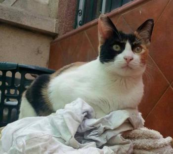 Lola Bild von Lola