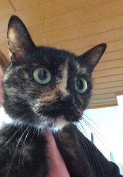 Geraldina Bild von Geraldina