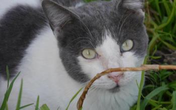 Michael Bild von Michael