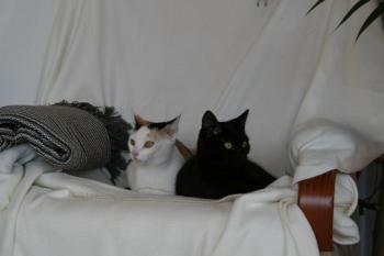 Anja Bild von Anja