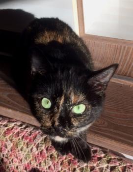 Geraldina Bild von Geraldina