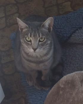 Sookie Bild von Sookie