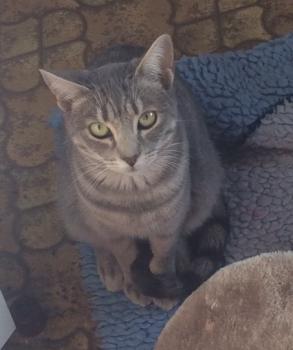 Sookie Bild von Sookie
