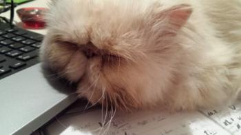 Pumuckl Bild von Pumuckl