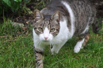 Mico Bild von Mico