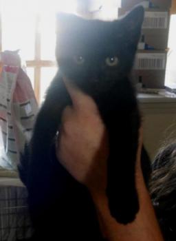 Thabo Bild von Thabo