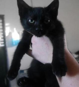 Thabo Bild von Thabo