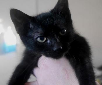 Thabo Bild von Thabo