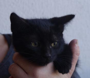 Bild von Mayla