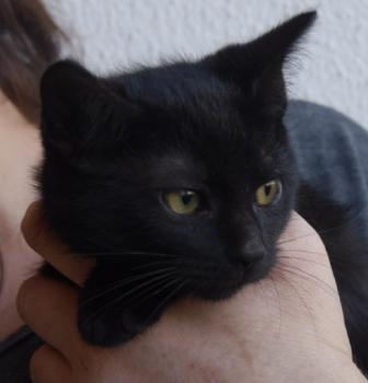 Bild von Mayla