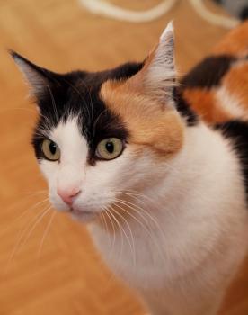 Trixi Bild von Trixi