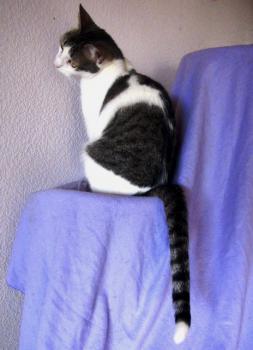 Reed Bild von Reed