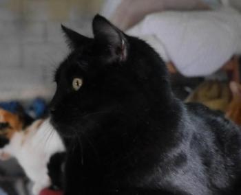 Miki Bild von Miki