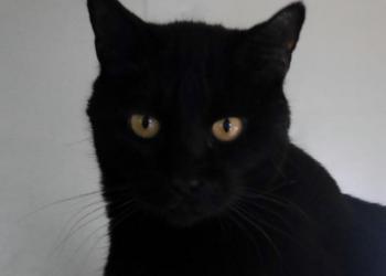 Miki Bild von Miki