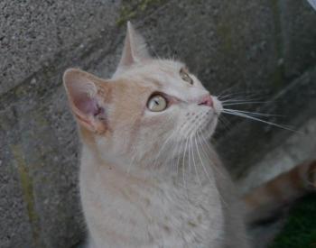 Akim Bild von Akim