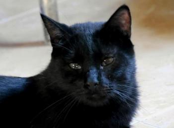 Bild von Coco