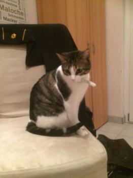 Bild von Cherie