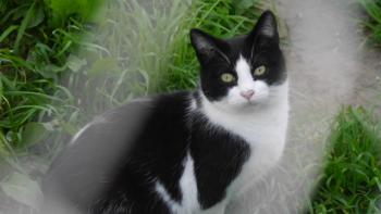 Curro Bild von Curro