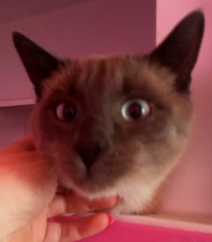 Lui Bild von Lui