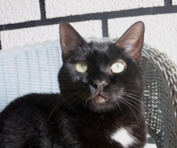 Flo Bild von Flo