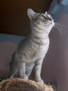 Sookie Bild von Sookie