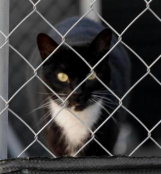 Auxi Bild von Auxi