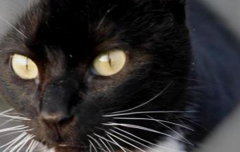 Auxi Bild von Auxi
