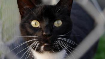 Auxi Bild von Auxi
