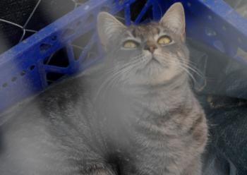 Bibi Bild von Bibi