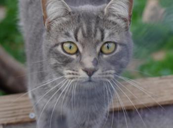 Bibi Bild von Bibi