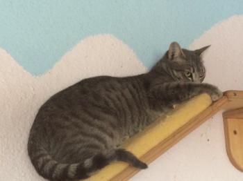Sookie Bild von Sookie