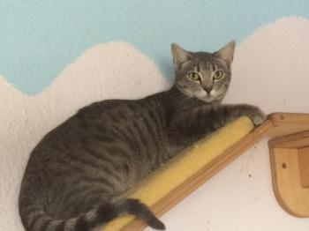 Sookie Bild von Sookie
