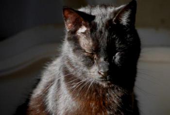 Bild von Coco