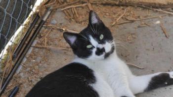 Bild von Naana