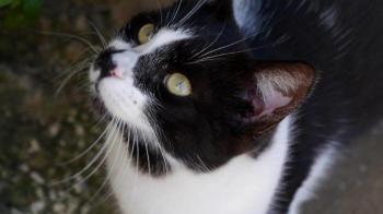 Bild von Naana