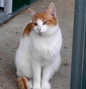 Salomé Bild von Salomé