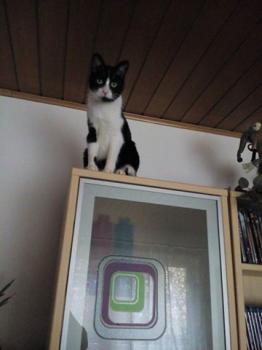 Bild von Ezio