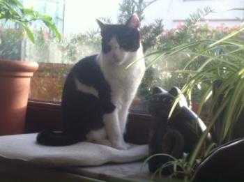 Fenja Bild von Fenja