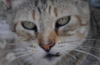 Yvette Bild von Yvette