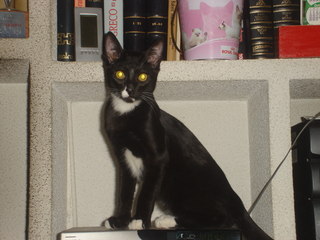 Krim Bild von Krim