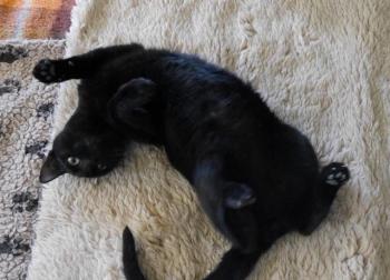 Thabo Bild von Thabo