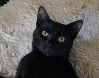 Thabo Bild von Thabo