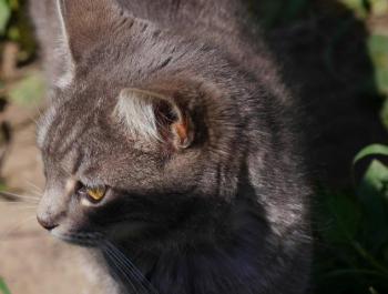 Bibi Bild von Bibi