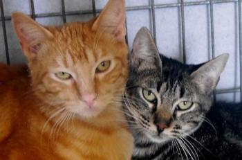 Nicole Bild von Nicole