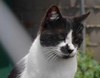 Bild von Naana