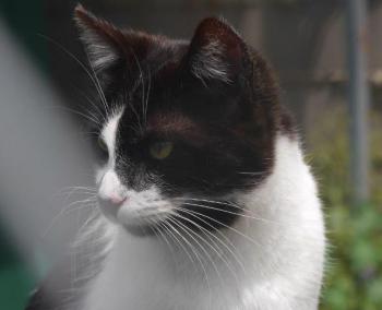 Bild von Naana