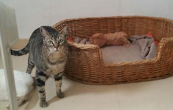 Trass Bild von Trass