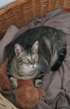 Trass Bild von Trass